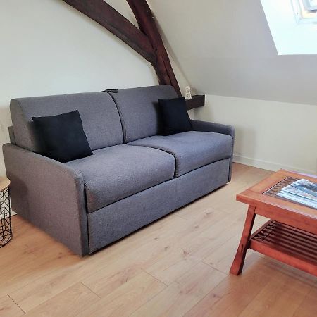 Appartement Au Centre Ville De ซ็องส์ ภายนอก รูปภาพ